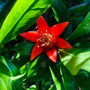 Meet your Posher, Dulce